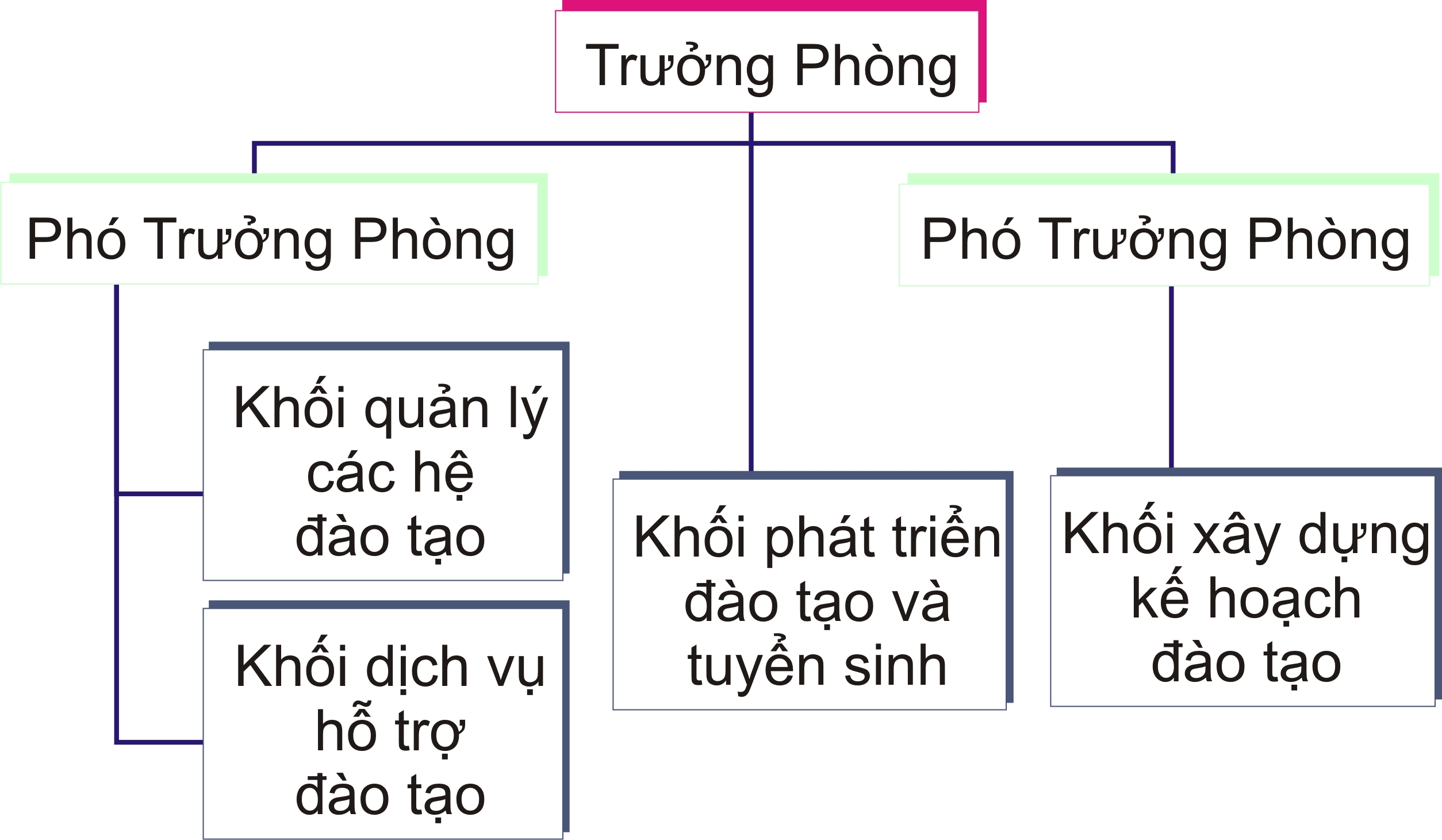 Cơ cấu tổ chức Phòng Quản lý Đào tạo